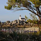 Leuchtturm Chapelle Pol, Bretagne Natur