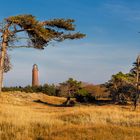 Leuchtturm Darßer Ort mit Windflüchter