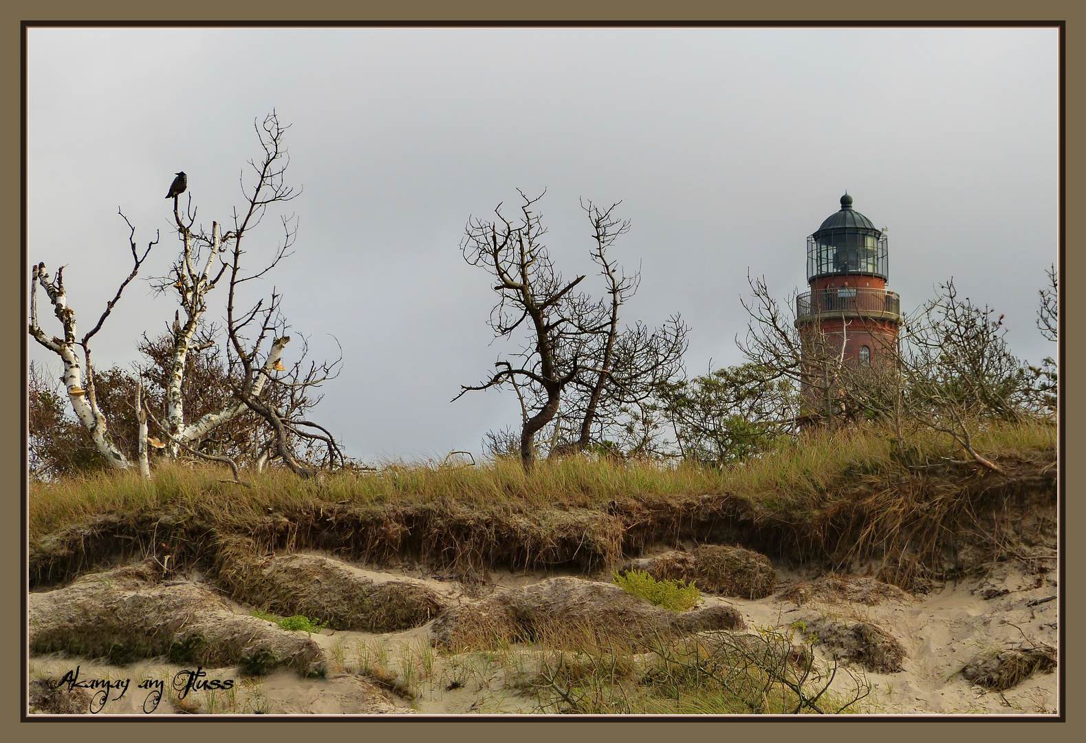 Leuchtturm Darßer Ort - Ostsee 2014