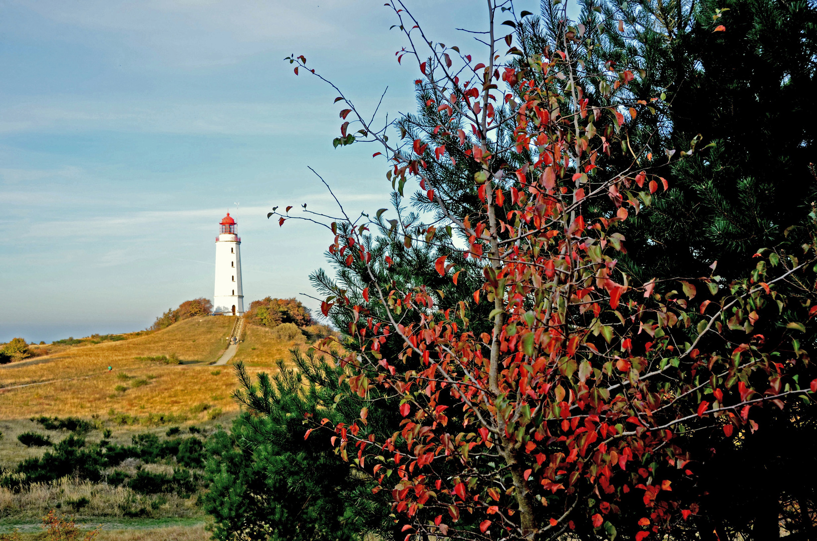 Leuchtturm Dornbusch