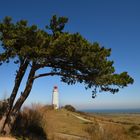 Leuchtturm Dornbusch