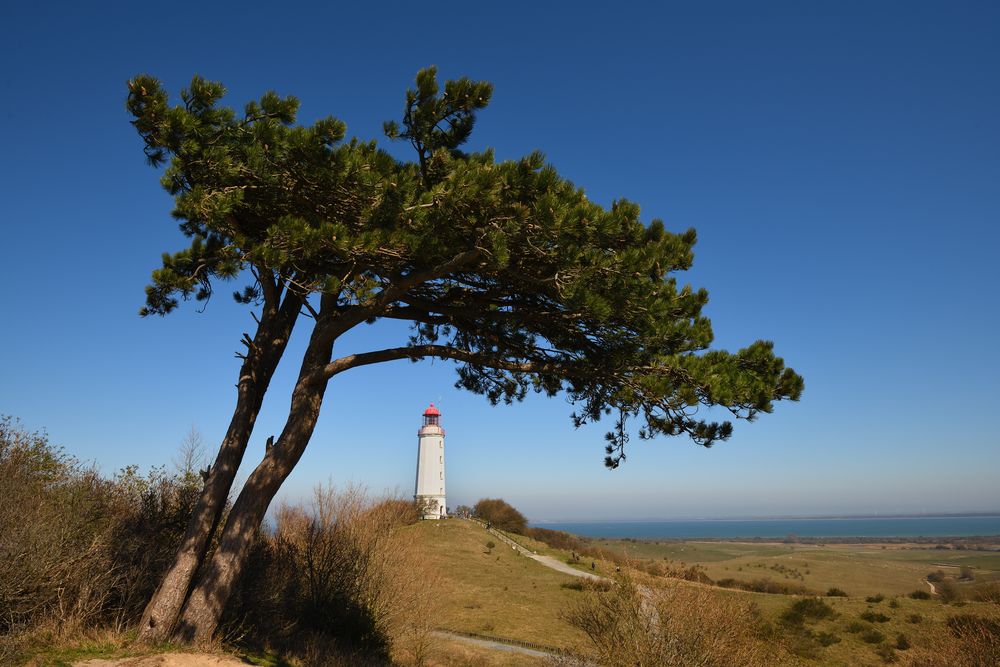 Leuchtturm Dornbusch