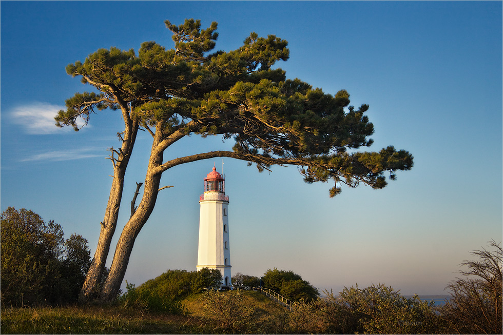 Leuchtturm Dornbusch