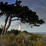 Leuchtturm Dornbusch am Abend 18