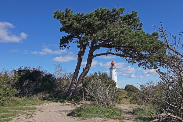 Leuchtturm Dornbusch auf Hiddensee
