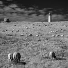 Leuchtturm Dornbusch auf Hiddensee