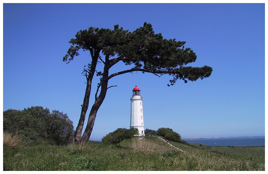 Leuchtturm Dornbusch auf Hiddensee