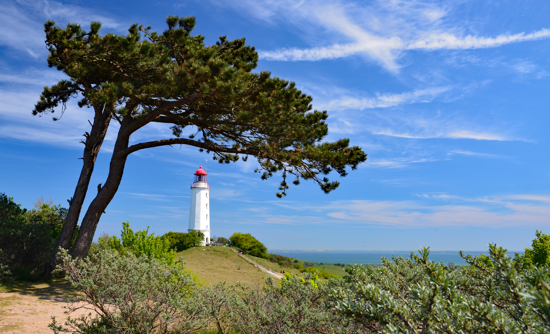 Leuchtturm Dornbusch auf Hiddensee