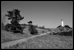 LEUCHTTURM Dornbusch 