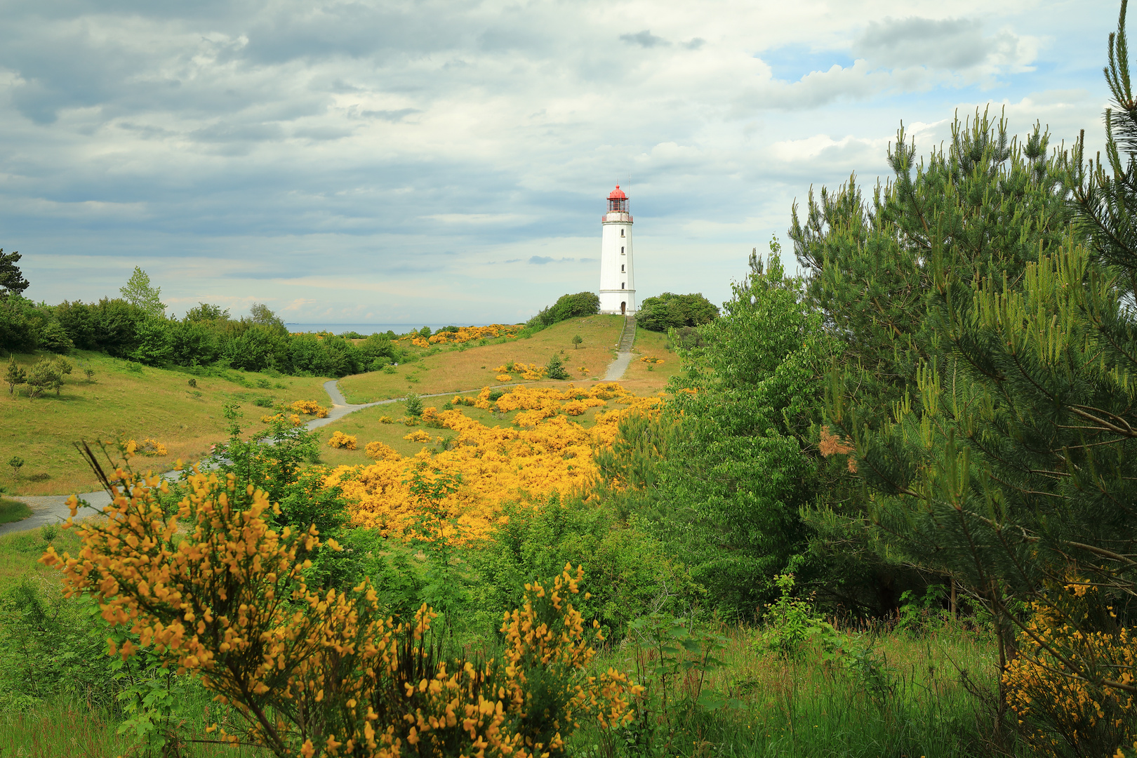 Leuchtturm Dornbusch