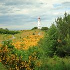 Leuchtturm Dornbusch