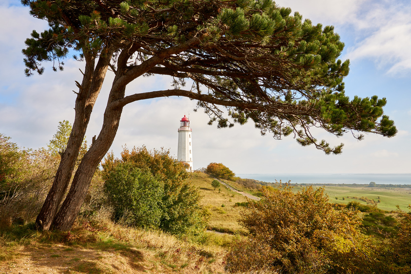 Leuchtturm Dornbusch - Hiddensee