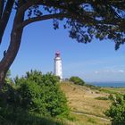 Leuchtturm Dornbusch Hiddensee