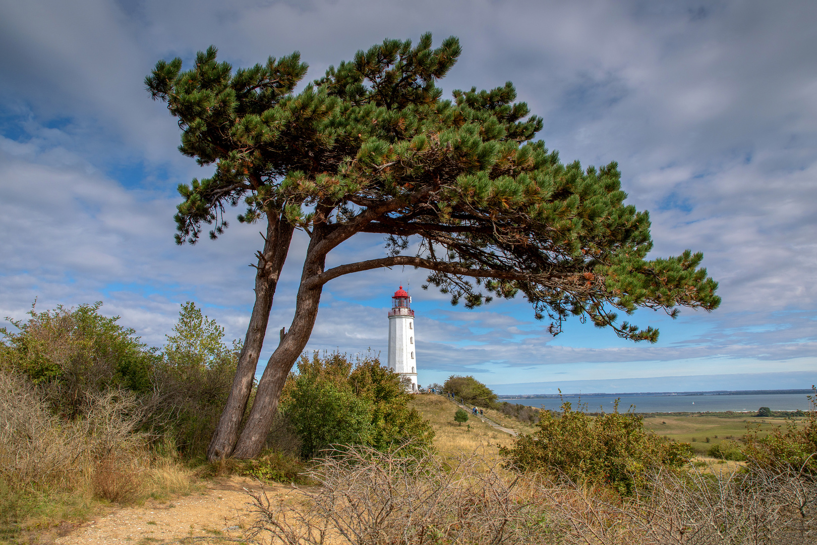 Leuchtturm Dornbusch / Hiddensee