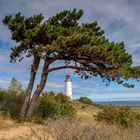 Leuchtturm Dornbusch / Hiddensee