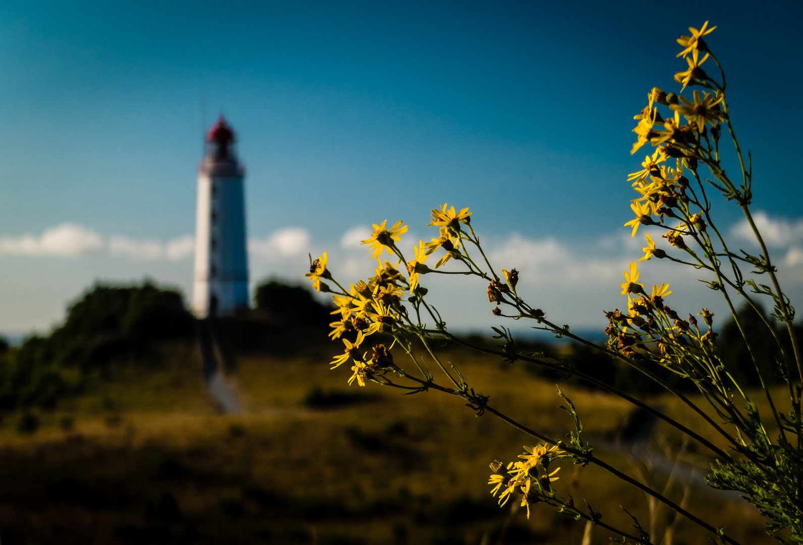 Leuchtturm Dornbusch, Hiddensee