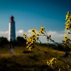 Leuchtturm Dornbusch, Hiddensee