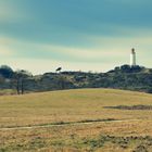 Leuchtturm Dornbusch Hiddensee 