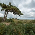 Leuchtturm Dornbusch | Hiddensee