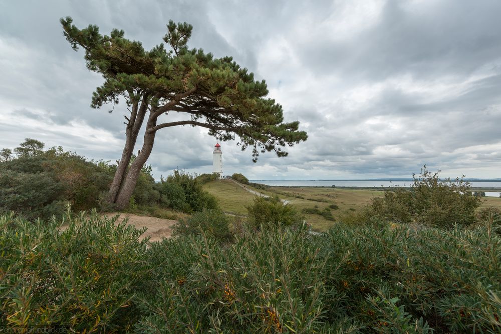 Leuchtturm Dornbusch | Hiddensee