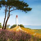 „Leuchtturm Dornbusch" (Hiddensee - Ostsee)