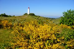 Leuchtturm Dornbusch im Mai 2014