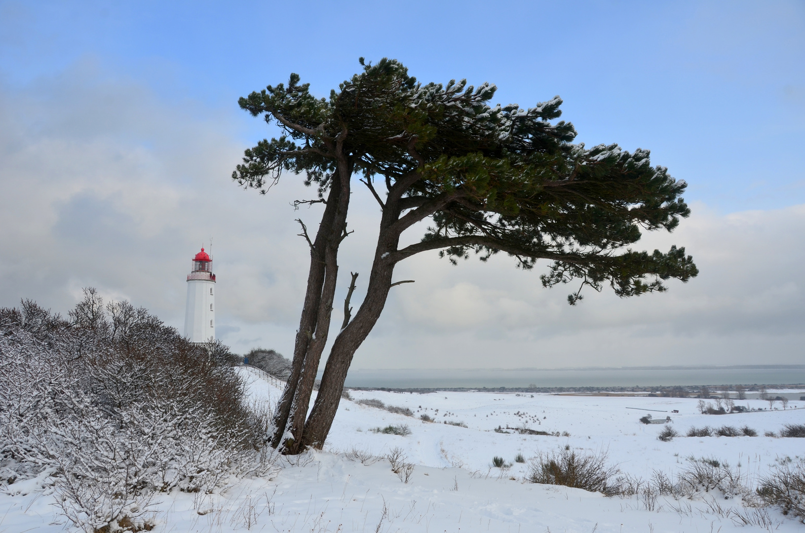 Leuchtturm Dornbusch im winter