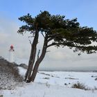 Leuchtturm Dornbusch im winter