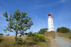 Leuchtturm Dornbusch Insel Hiddensee 