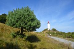 Leuchtturm Dornbusch Insel Hiddensee 