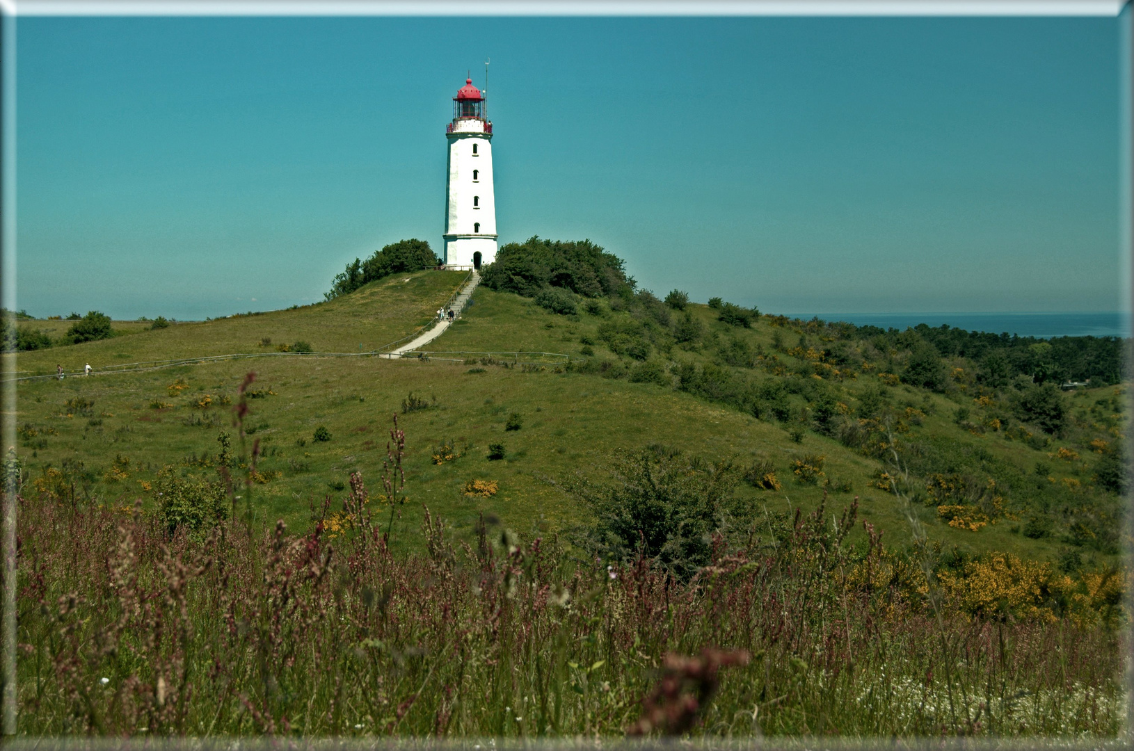 Leuchtturm Dornbusch Insel Hiddensee