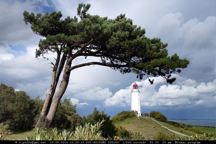 Leuchtturm Dornbusch mit Baum und Wolken