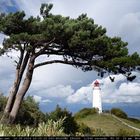 Leuchtturm Dornbusch mit Baum und Wolken