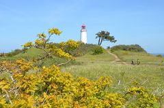 Leuchtturm Dornbusch Pfingsten 2015