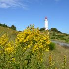 Leuchtturm Dornbusch Spätsommer 