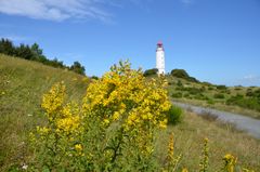 Leuchtturm Dornbusch Spätsommer 