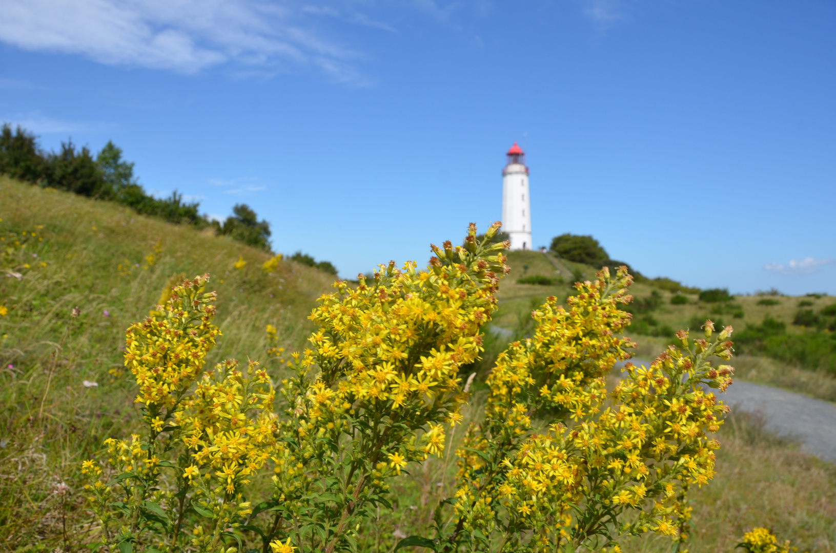 Leuchtturm Dornbusch Spätsommer 