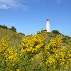 Leuchtturm Dornbusch Spätsommer 