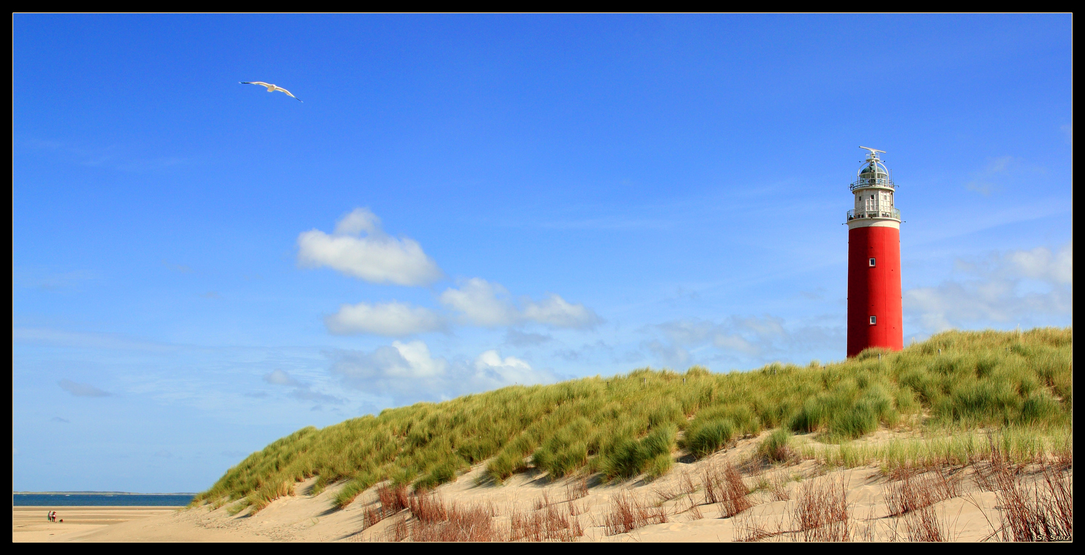 Leuchtturm Eierland (Texel)