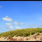 Leuchtturm Eierland (Texel)