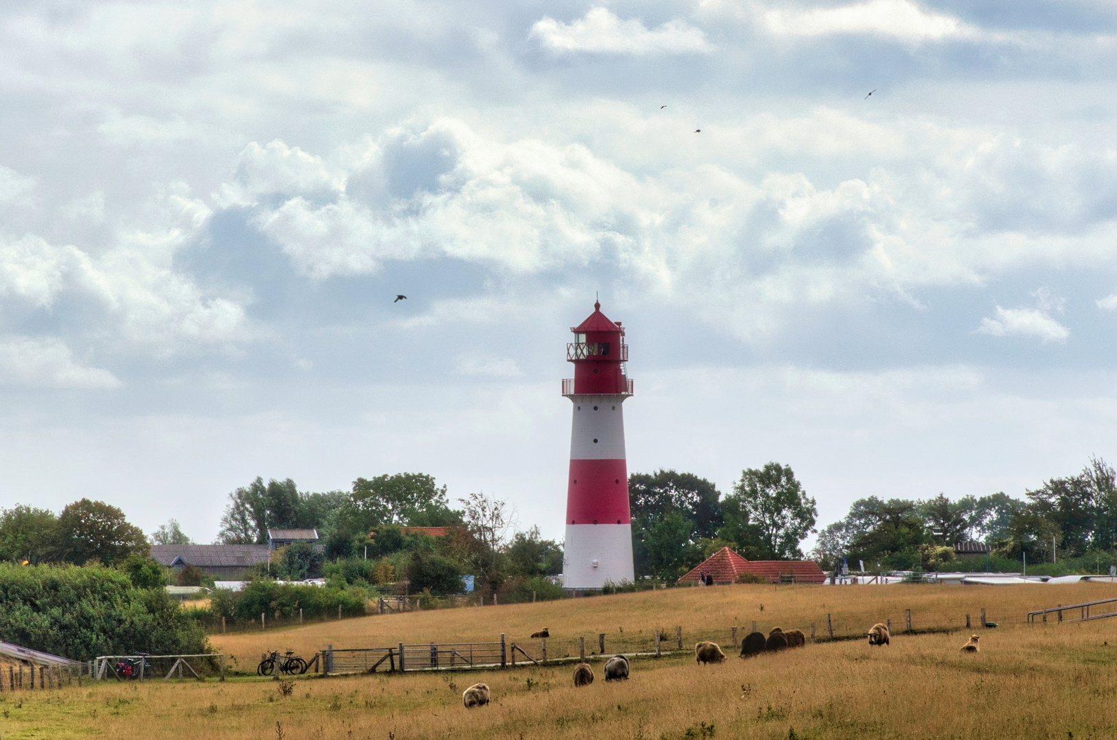 Leuchtturm Falshöft