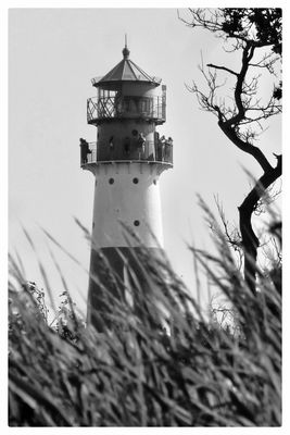 LEUCHTTURM FALSHÖFT