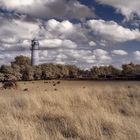 Leuchtturm Falshöft [IR]