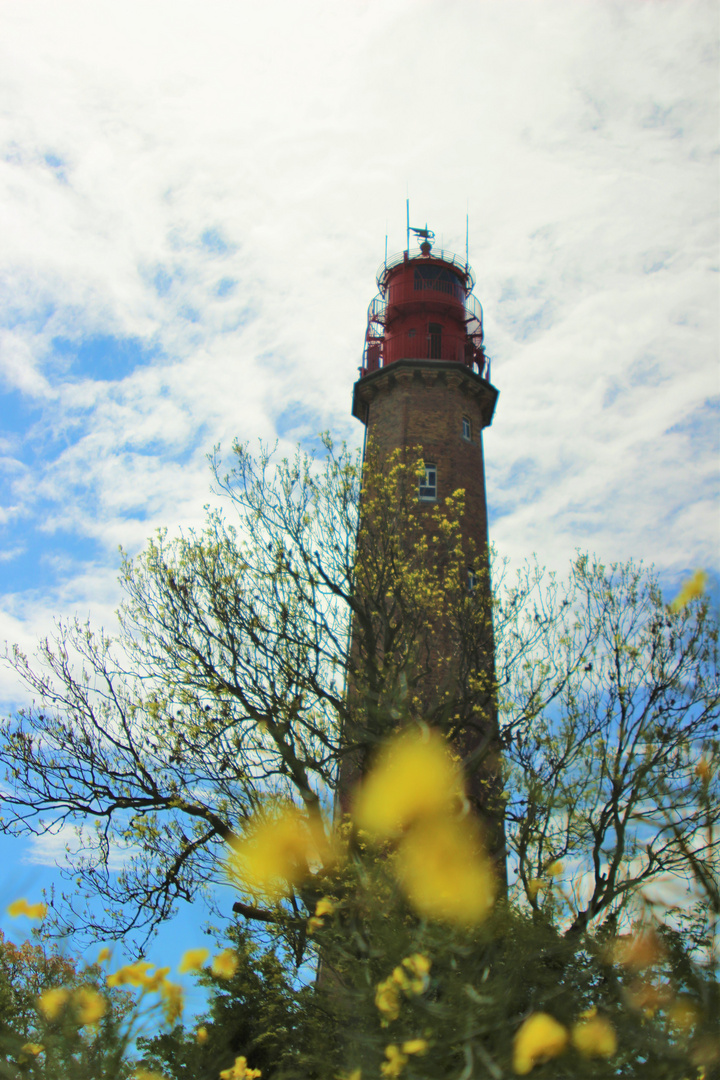 Leuchtturm Fehmarn