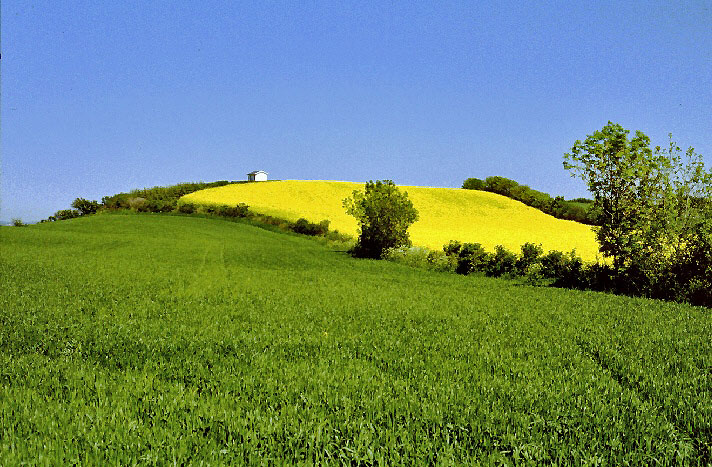 Leuchtturm Frankeklint 