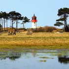 Leuchtturm Gellen