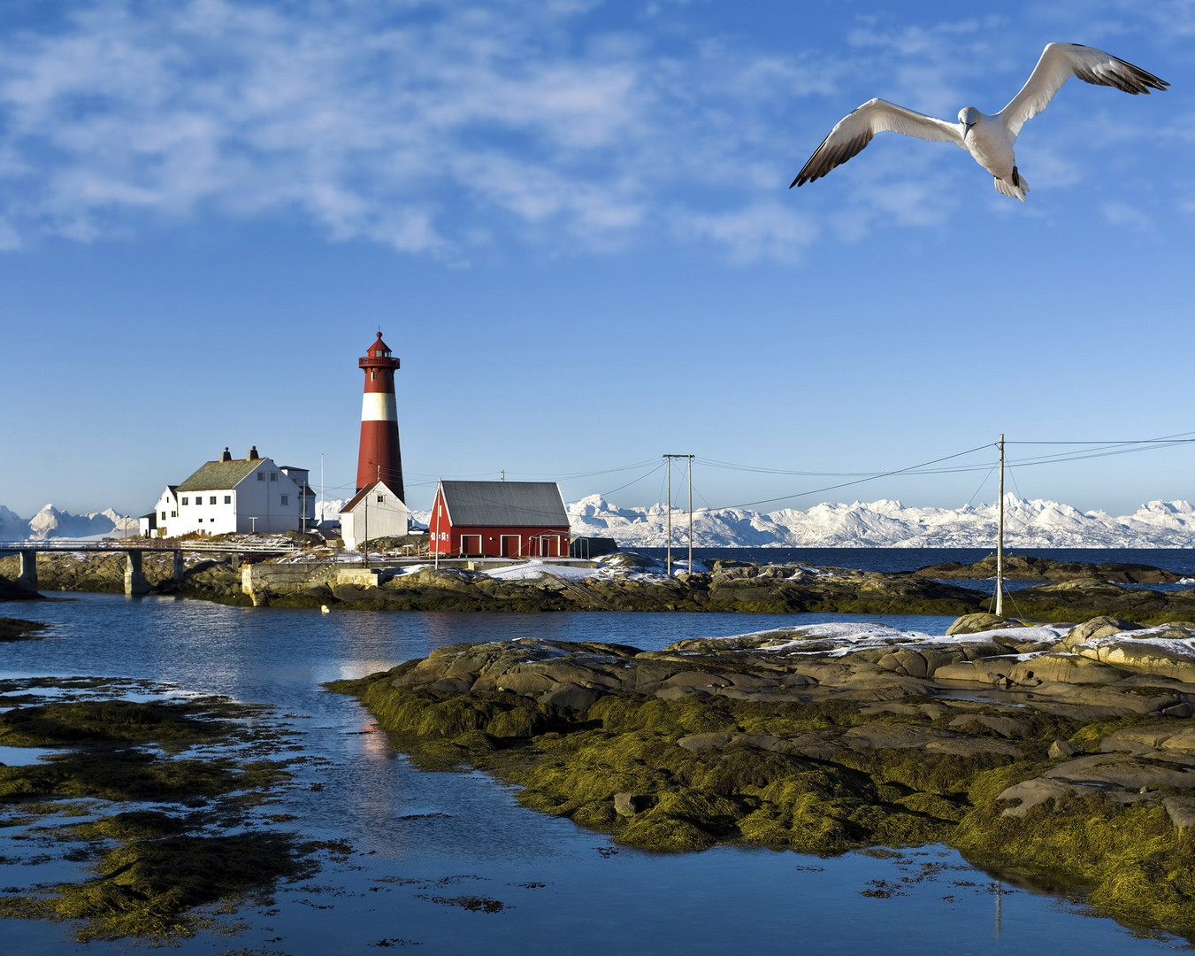 Leuchtturm Hamaroy Tysfjord Norwegen