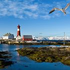 Leuchtturm Hamaroy Tysfjord Norwegen