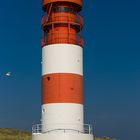 Leuchtturm Helgoland Düne