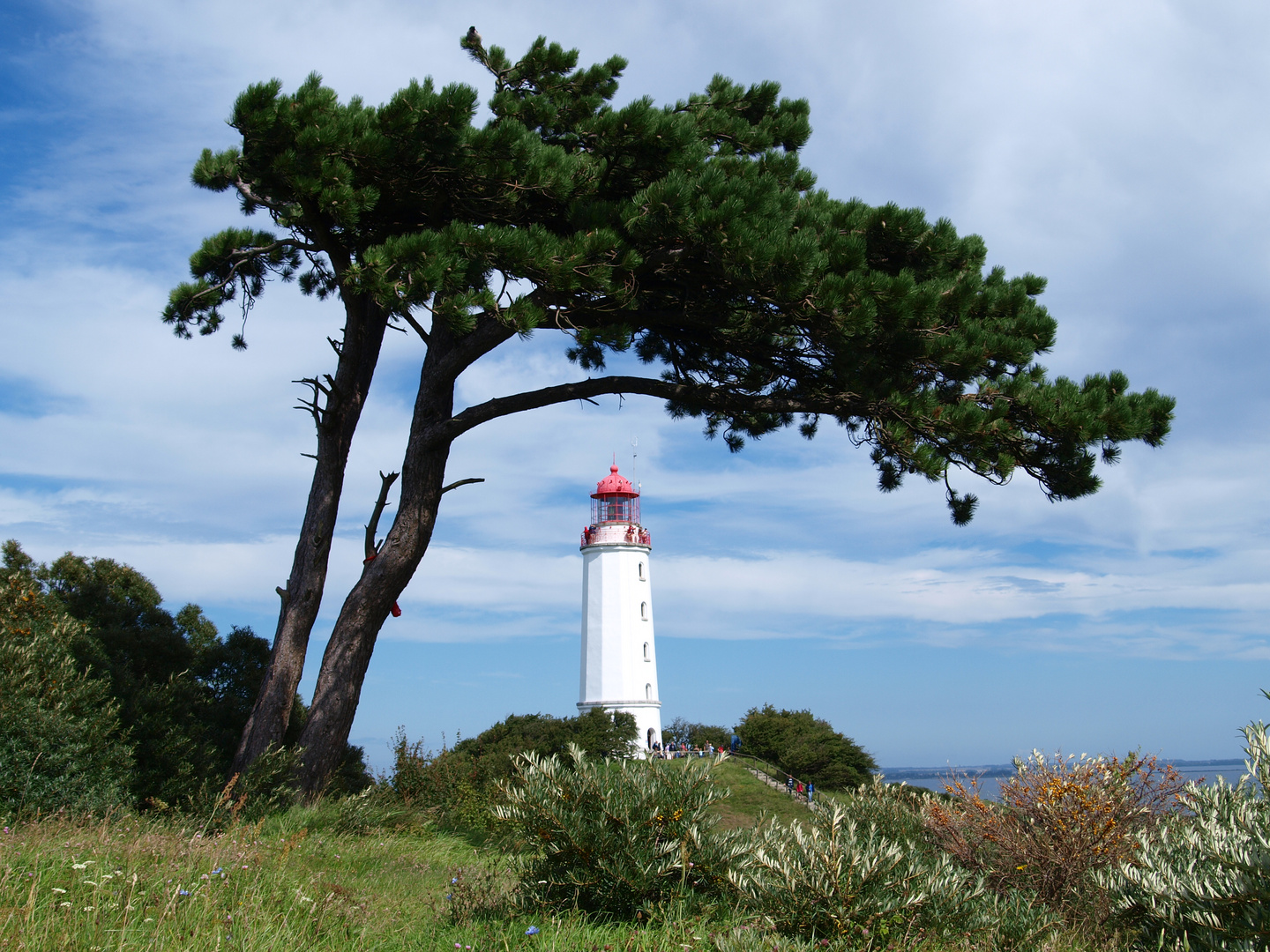 Leuchtturm Hiddensee